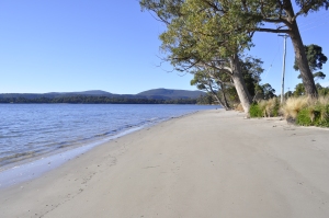 stopped by a beach while driving to  Port Authur, Tasmania for a suss (look)